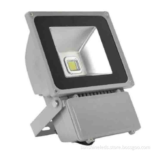Mw Driver LED Landscape Lighting Flood Light with 5 Years (SU-FL-80W)
